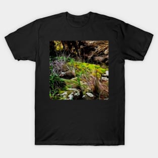 Stocksom Welcome to my Fairy Garden T-Shirt